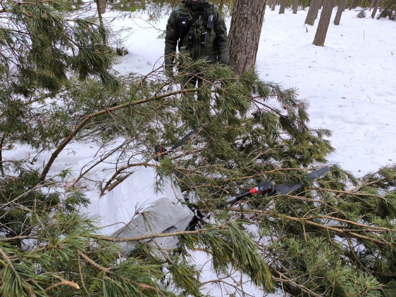 Дрон з цыгарэтамі затрымаўся на дрэве ў Літве