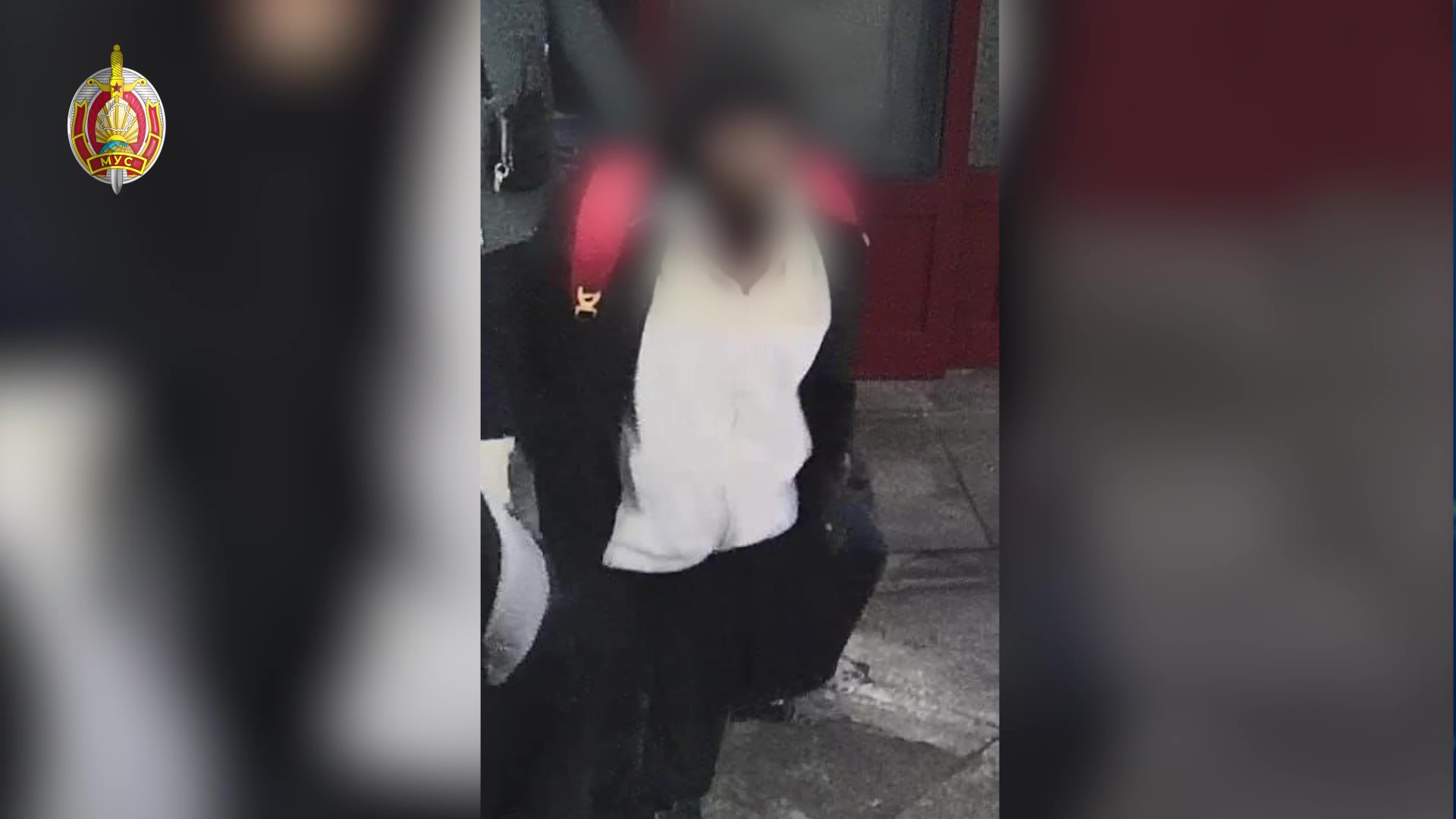 Милиция задержала жителя Гомеля, торговавшего визами