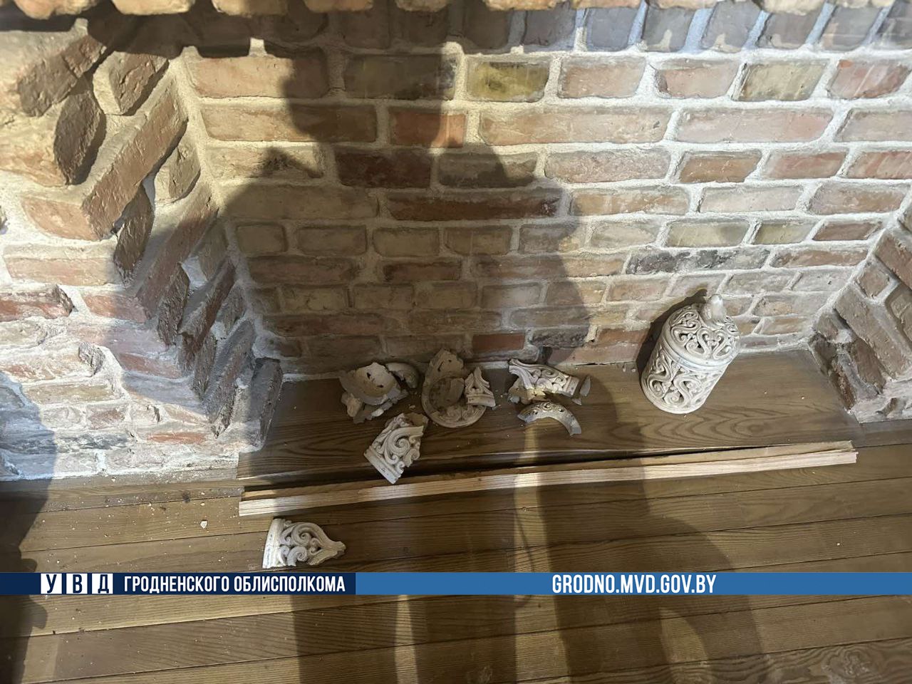 Житель Гродно получил уголовку за хулиганство за драку с деревянной совой