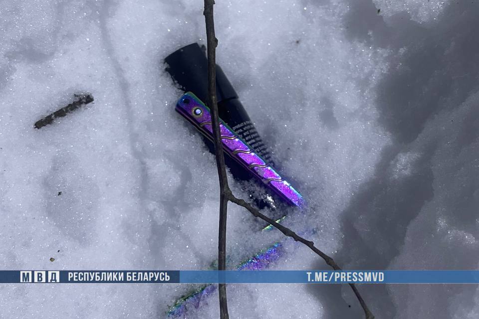 Вооруженный разбой в Смолевичском районе: три человека пострадали, трое нападавших иностранцев задержаны