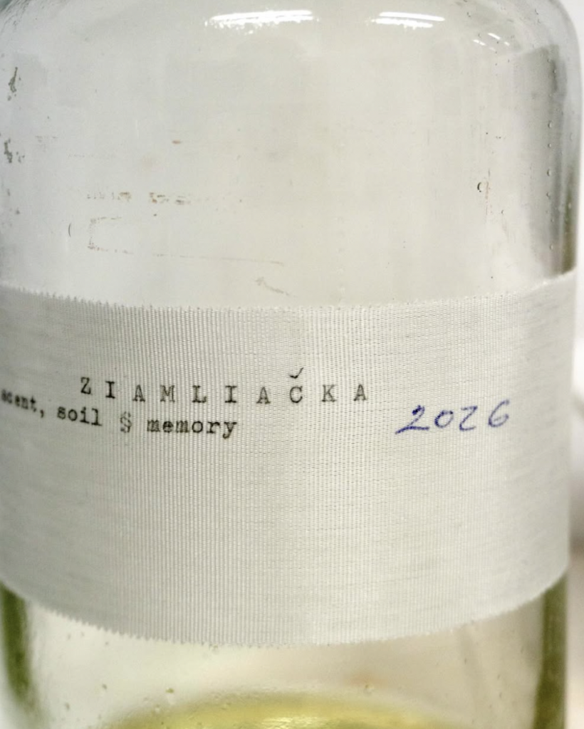 225 кг беларускай зямлі, прывезенай кантрабандай. У Аўстрыі адкрылася выстава мастачкі Цемры - фотафакт