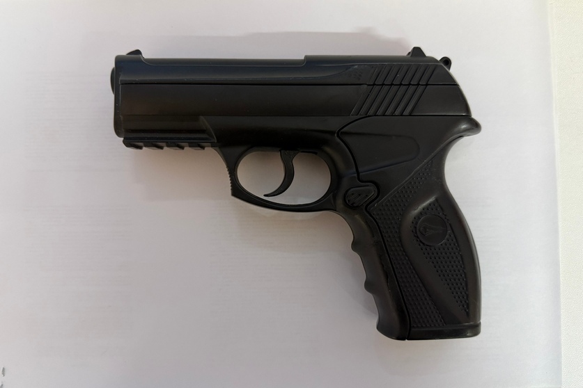 Жительница Лоева отрабатывала навыки стрельбы на автомобиле соседа