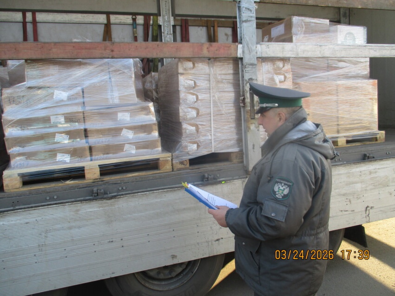 Россия вернула в Беларусь саженцы голубики и поддоны