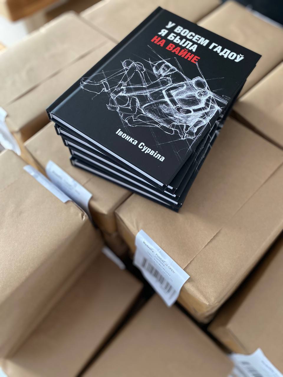 «Мяне ў гэтай гісторыі вывеў гэты прамень святла — беларускасць»: Сяргей Падсасонны пра лёс Івонкі Сурвілы і новую кнігу яе ўспамінаў