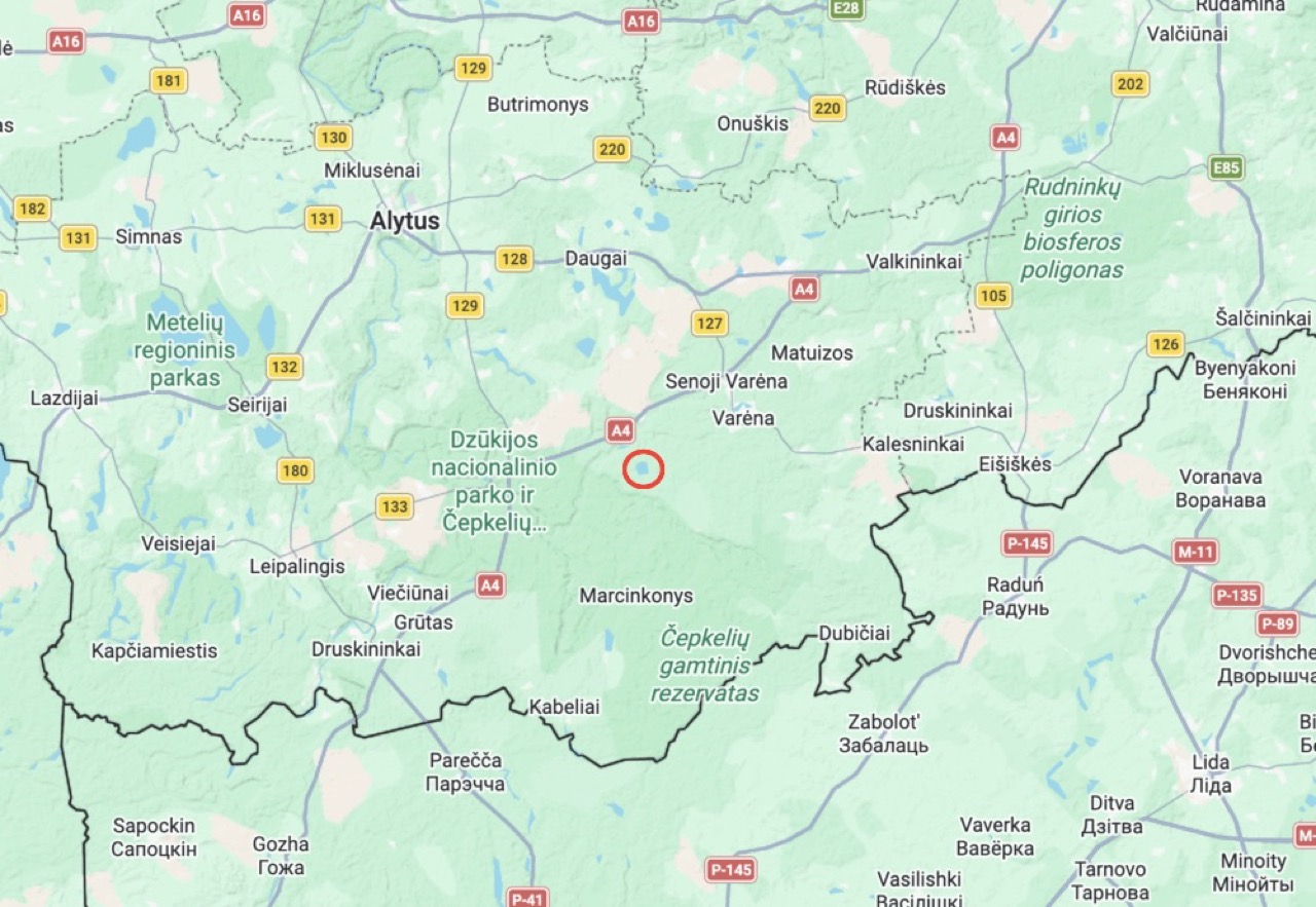 Неизвестный объект упал и взорвался недалеко от беларусской границы в Литве