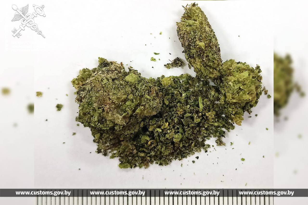 Беларус пытался съесть марихуану на границе