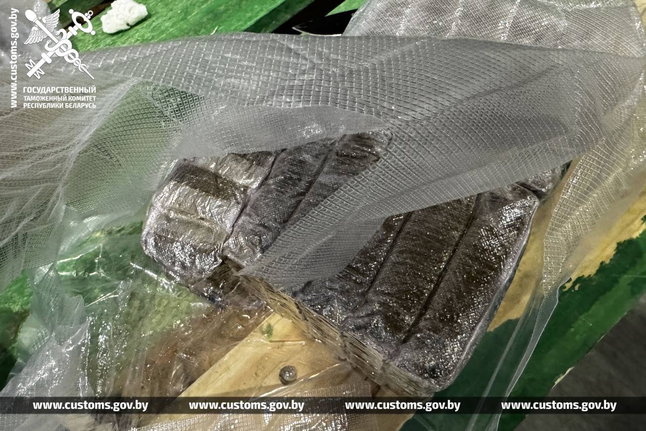 Крупную партию гашиша задержали в Беларуси