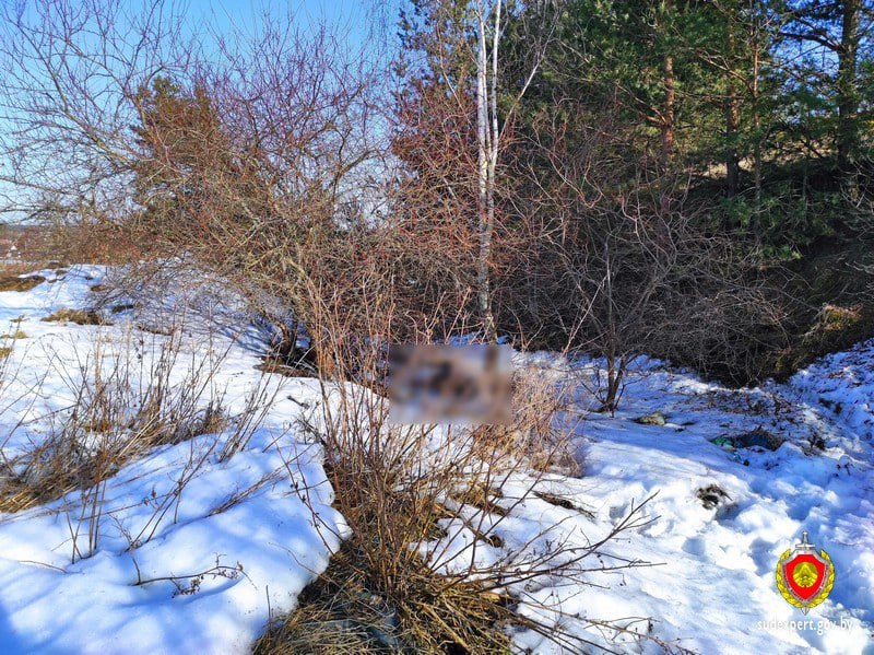 Труп со следами насильственной смерти обнаружен в Столбцовском районе
