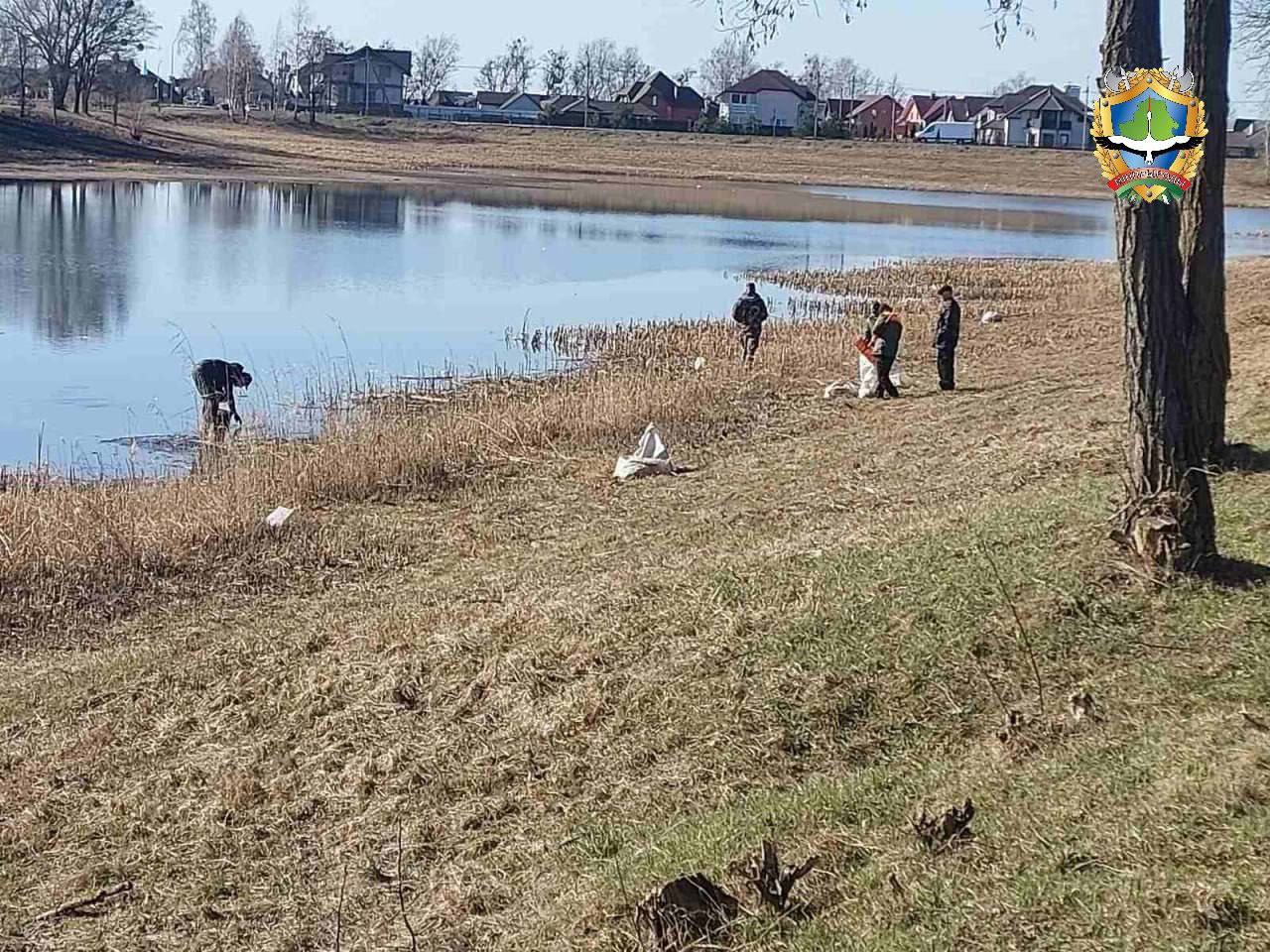 Мор рыбы зафиксирован в прудах в Лунинце