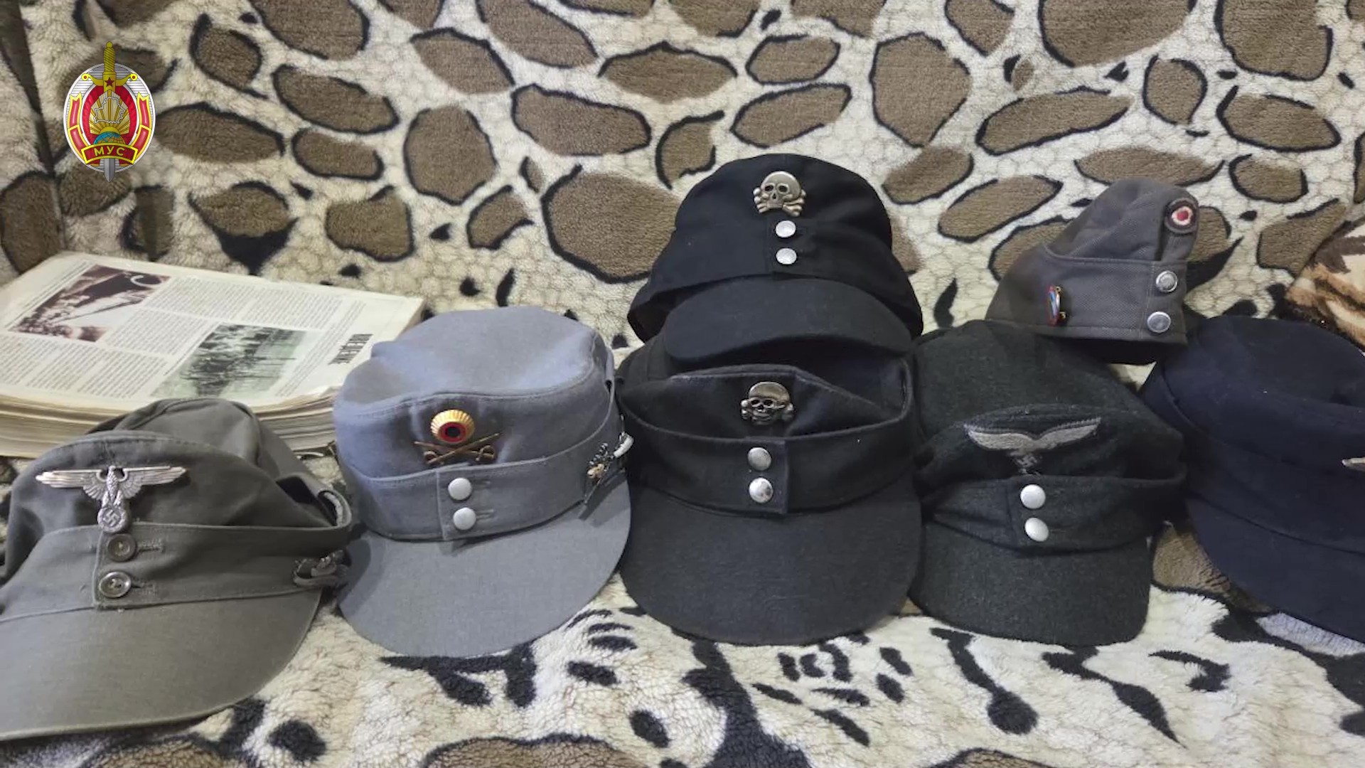 МВД отчиталось о задержании гомельчанина за реабилитацию нацизма