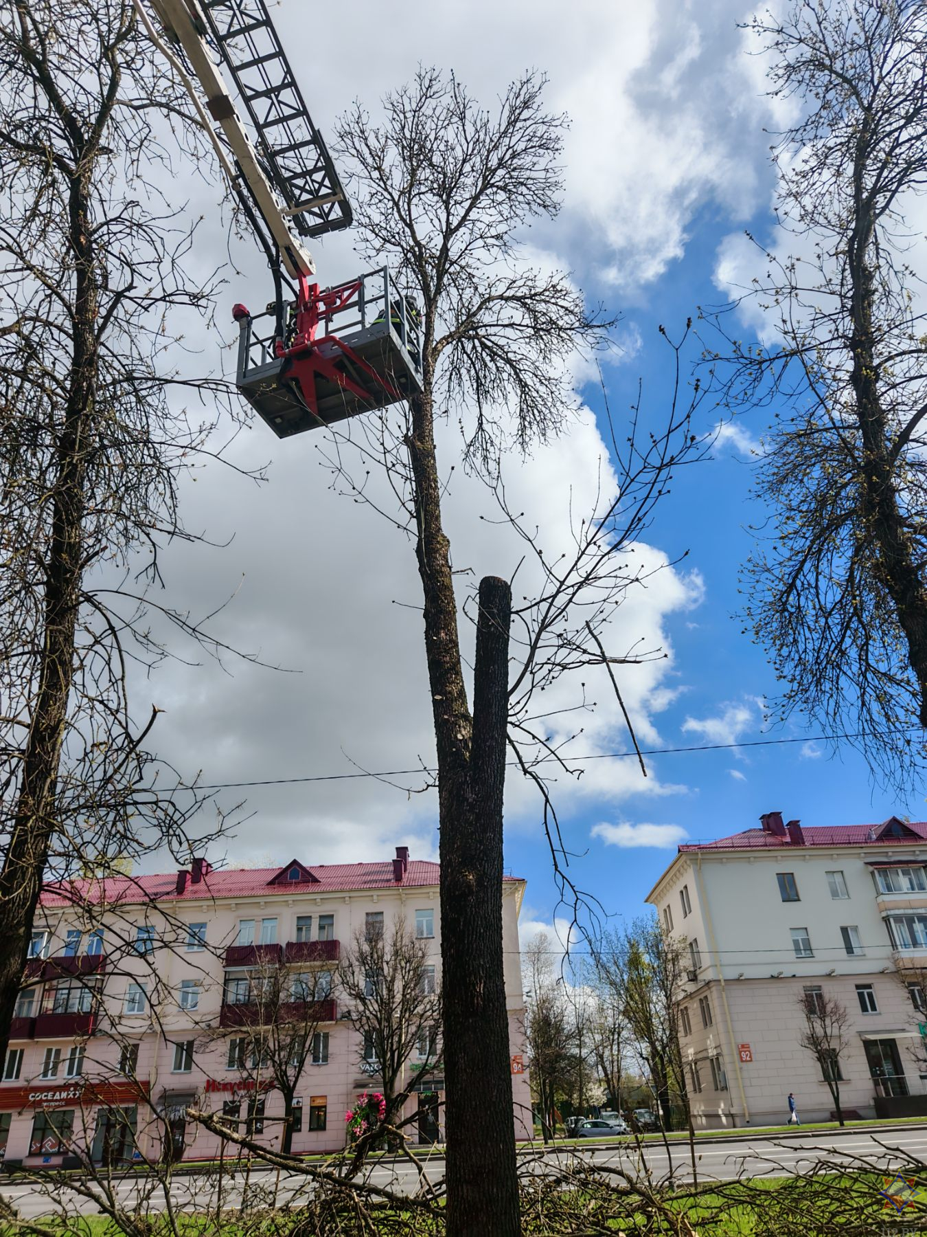 Ветер в Минске валил деревья, повреждал билборды и автомобили