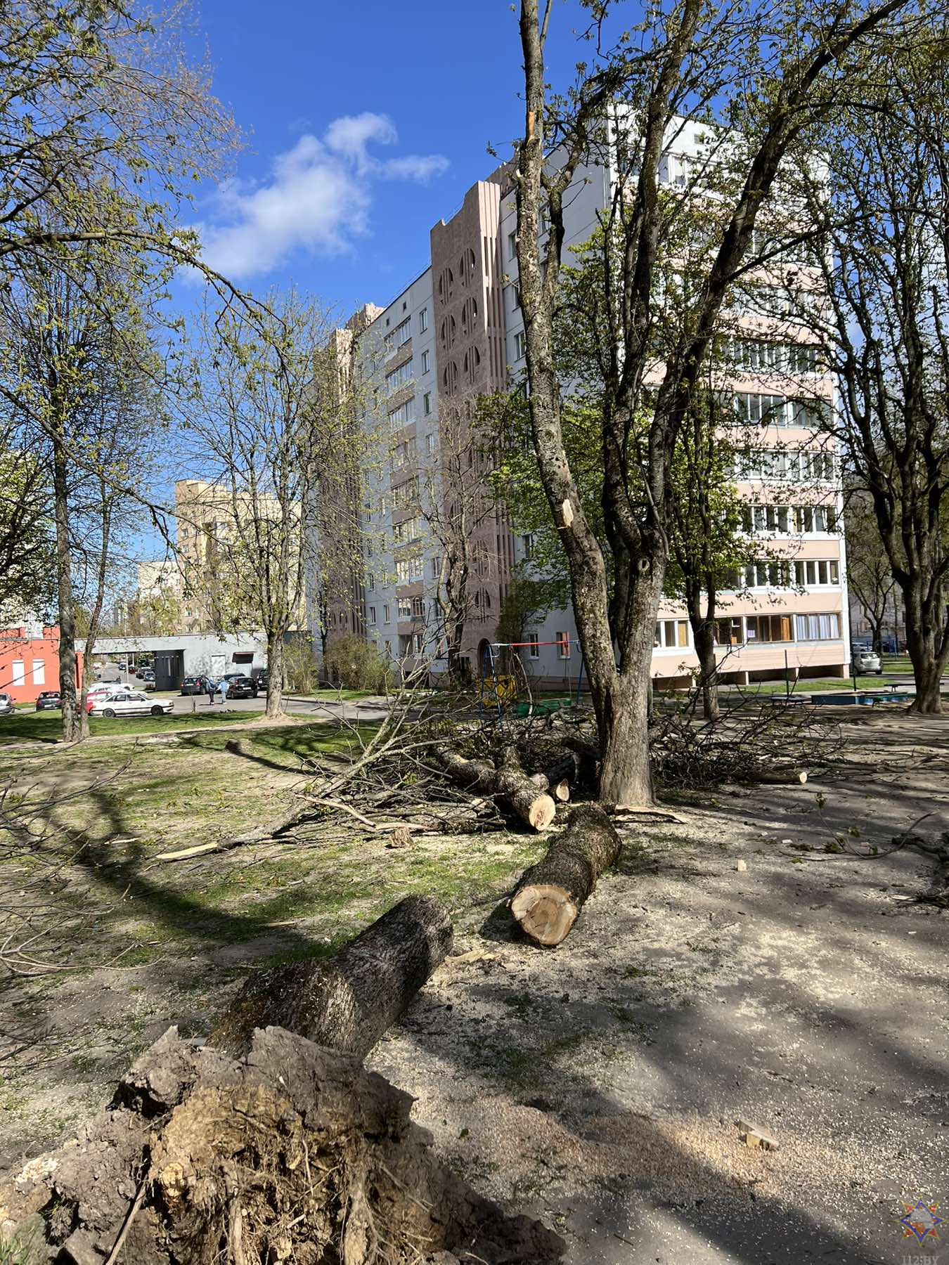 Ветер в Минске валил деревья, повреждал билборды и автомобили