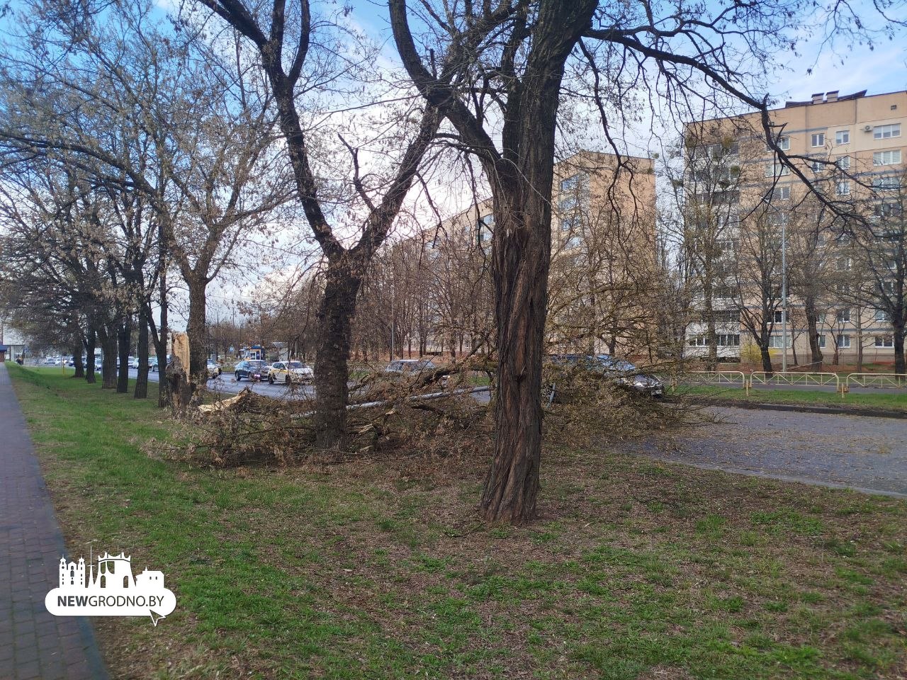 По Беларуси пронесся шквалистый ветер. Есть повреждения