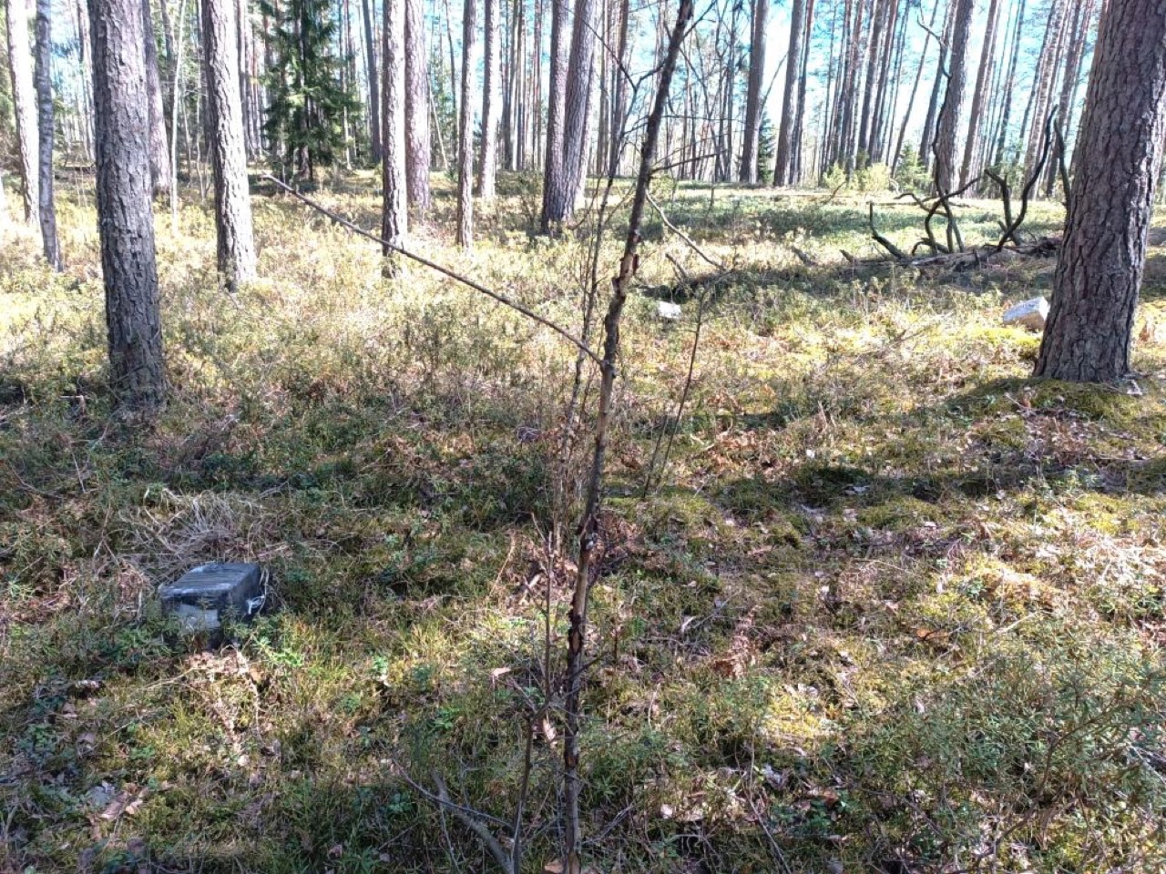 Очередной дрон с сигаретами прилетел в Литву