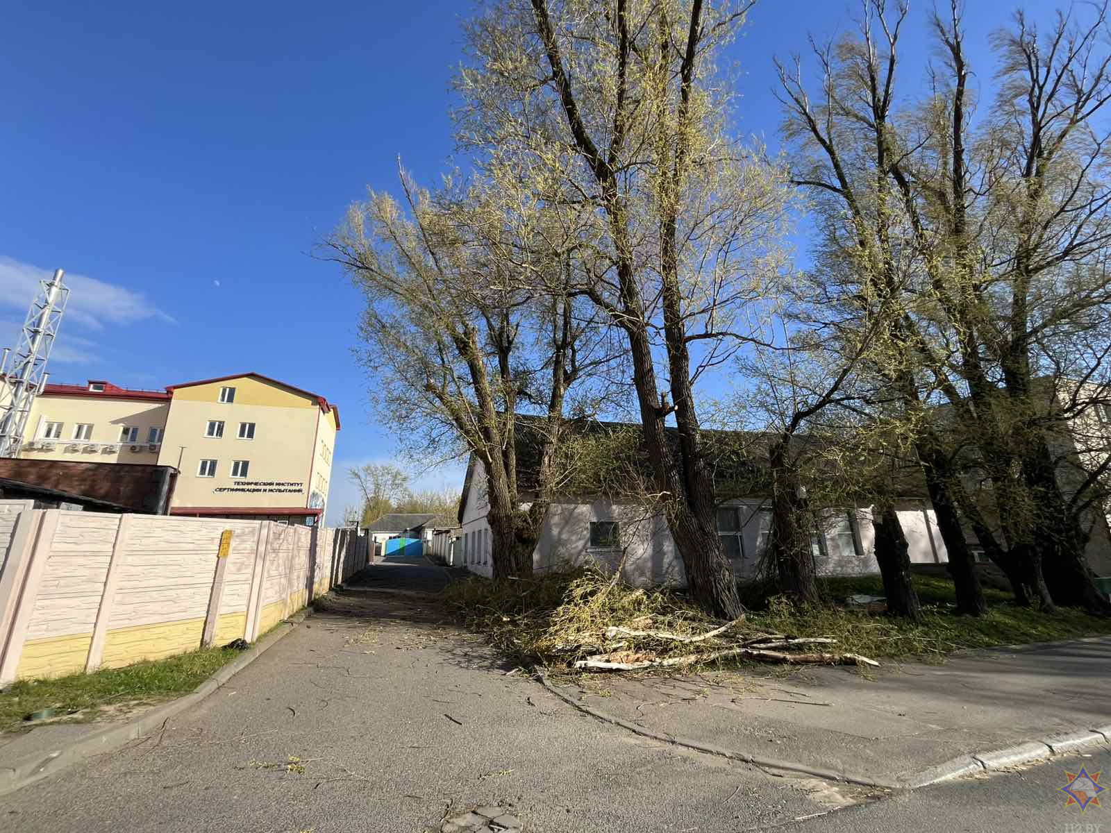 Ветер в Минске валил деревья, повреждал билборды и автомобили