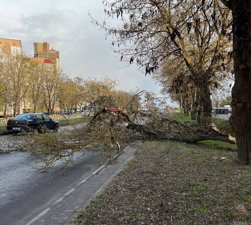 МЧС рассказало о последствиях сильного ветра