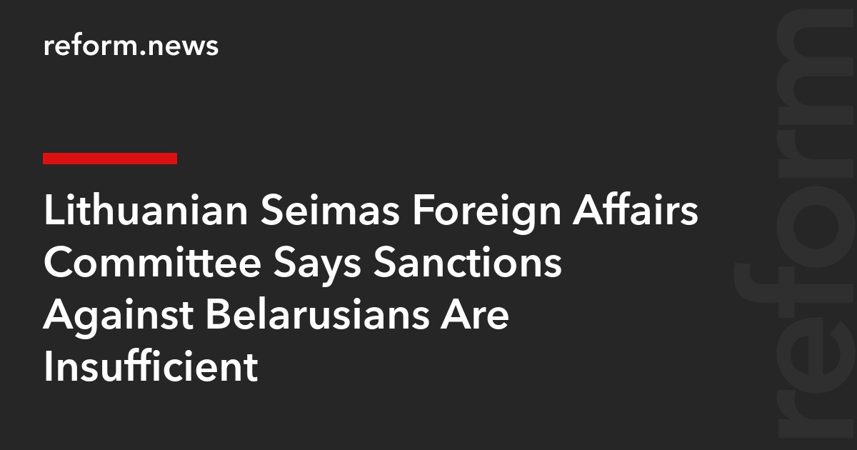 Lithuanian Seimas Foreign Affairs Committee Says Sanctions Against Belarusians Are Insufficient