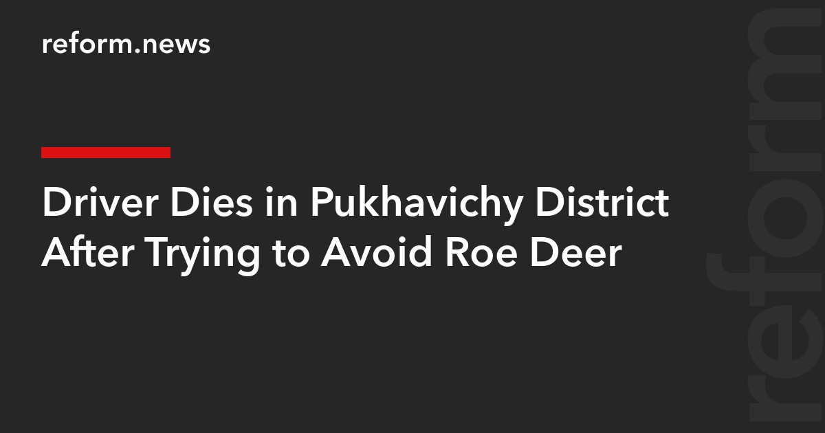 Driver Dies in Pukhavichy District After Trying to Avoid Roe Deer