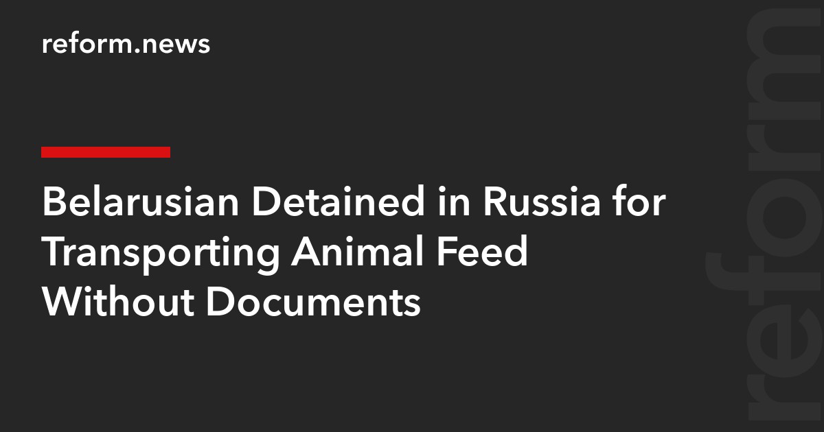 Belarusian Detained in Russia for Transporting Animal Feed Without Documents