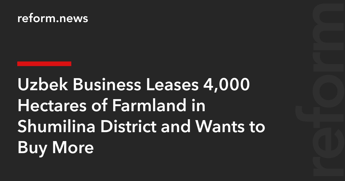 Uzbek Business Leases 4,000 Hectares of Farmland in Shumilina District and Wants to Buy More