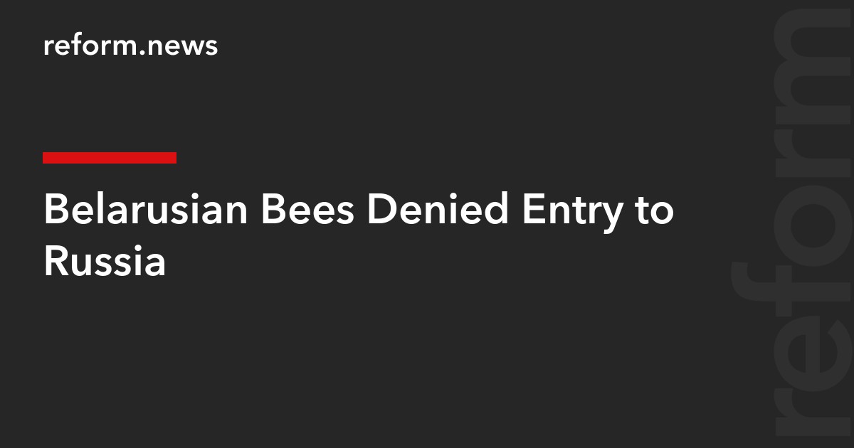 Belarusian Bees Denied Entry to Russia