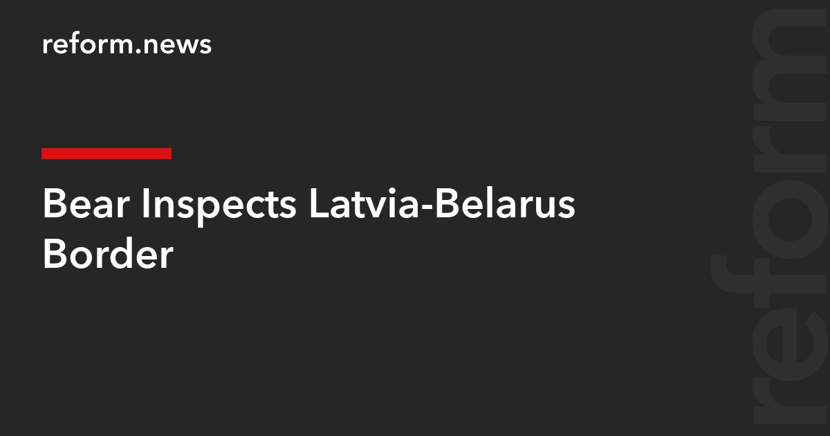 Bear Inspects Latvia-Belarus Border
