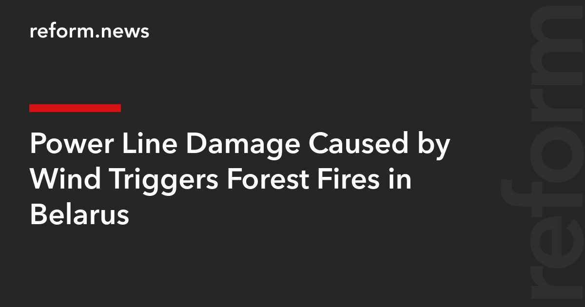 Power Line Damage Caused by Wind Triggers Forest Fires in Belarus