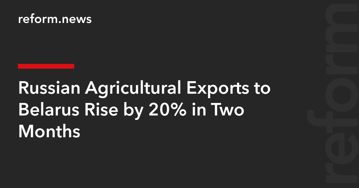 Russian Agricultural Exports to Belarus Rise by 20% in Two Months