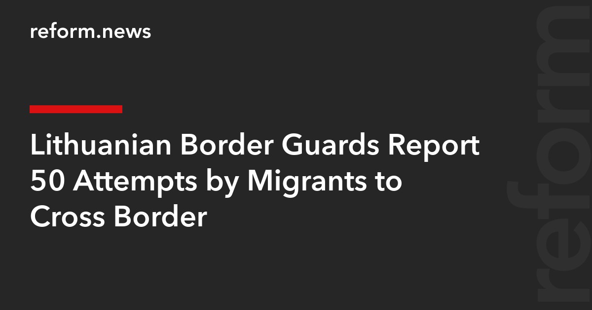 Lithuanian Border Guards Report 50 Attempts by Migrants to Cross Border