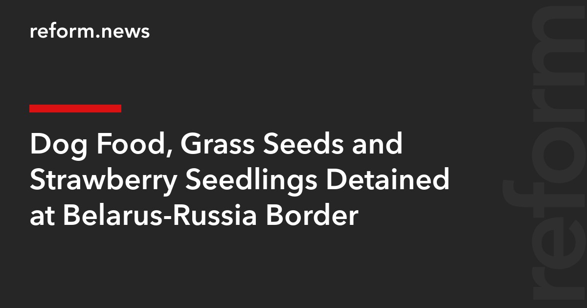Dog Food, Grass Seeds and Strawberry Seedlings Detained at Belarus-Russia Border