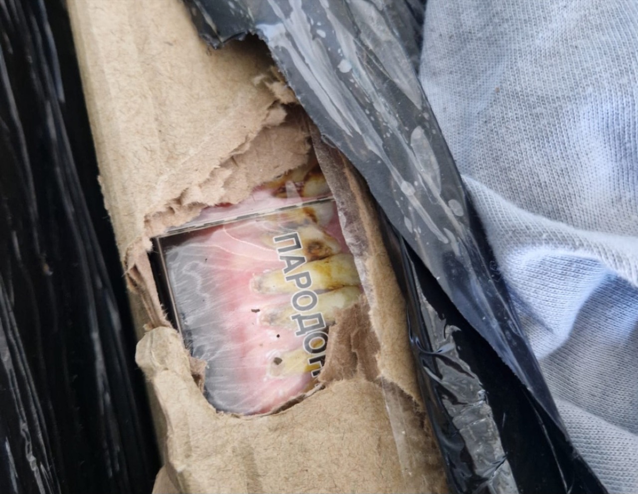 Беларуса и поляка задержали в Польша за контрабанду сигарет метеозондами