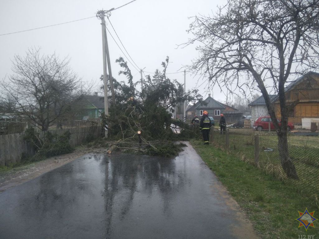 Ветер повалил на дорогу световую опору в Бресте