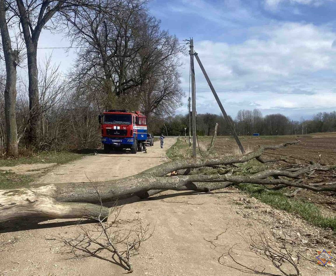 МЧС рассказало о последствиях сильного ветра