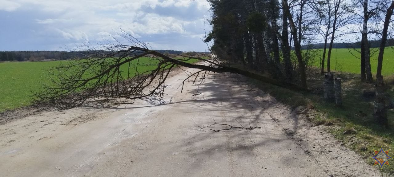 МЧС рассказало о последствиях сильного ветра