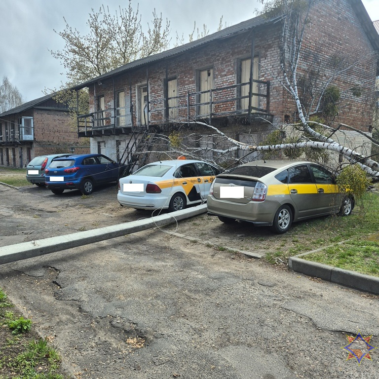 Ветер повалил на дорогу световую опору в Бресте