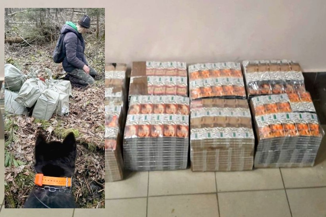 Контрабандисты вернулись к старым методам в Литве — переброске сигарет через границу