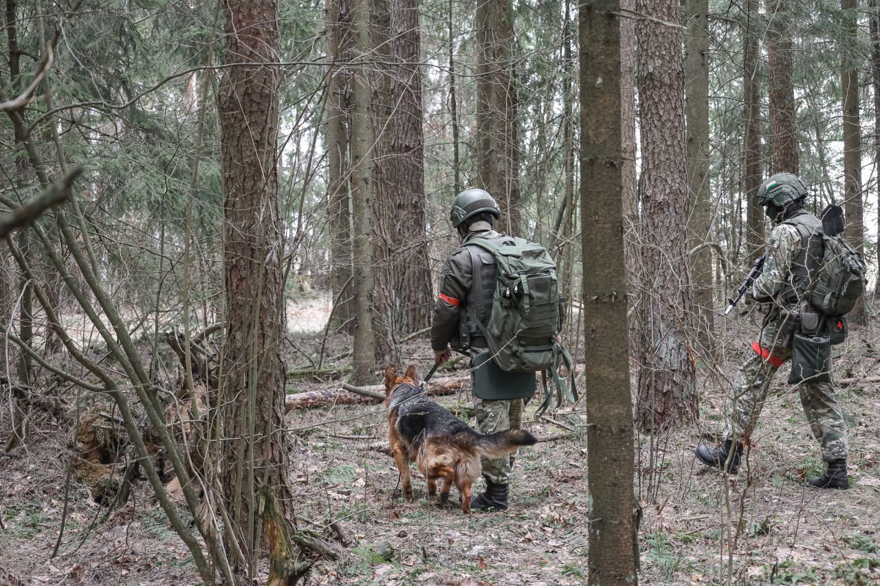 Внутренние войска провели учение "Сирена-2026"