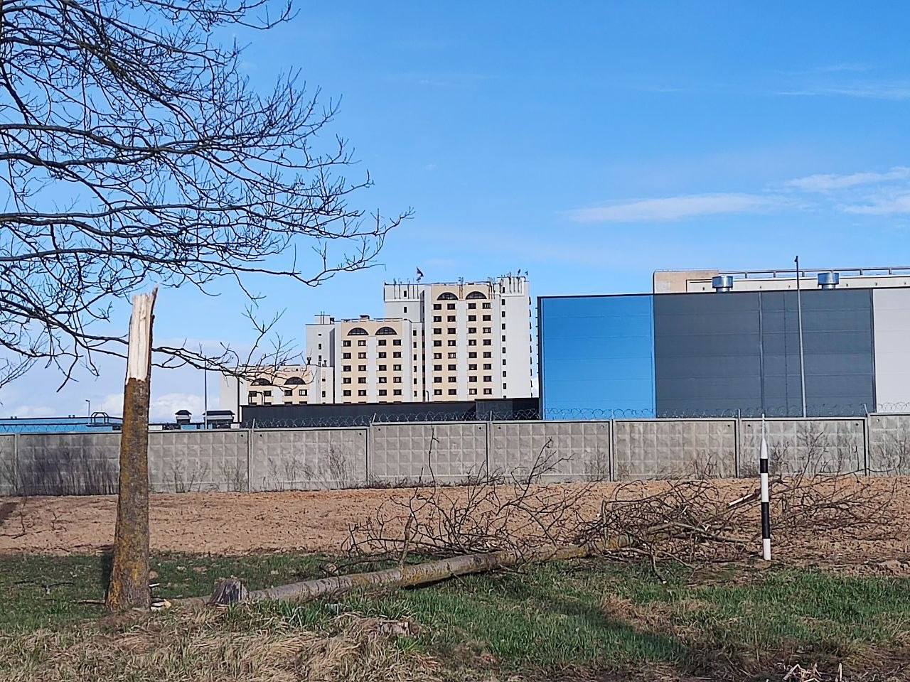 По Беларуси пронесся шквалистый ветер. Есть повреждения