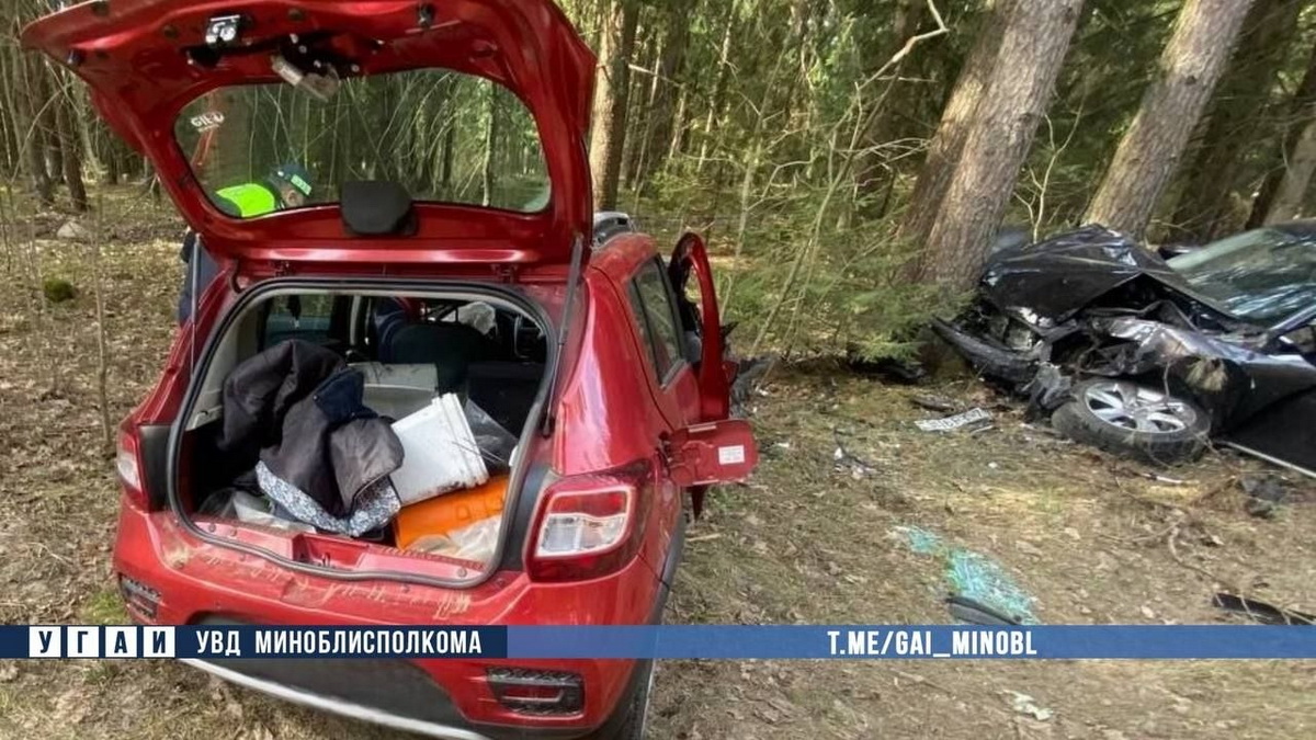 В Пуховичском районе водитель погиб после ДТП, пытаясь избежать столкновения с косулей