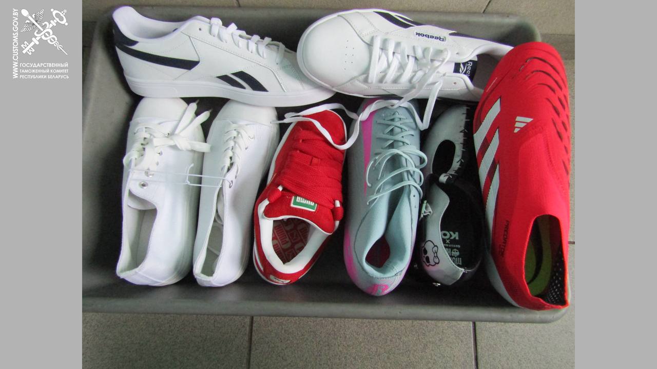 Таможенникам не понравился багаж двух пассажиров автобусов из Литвы