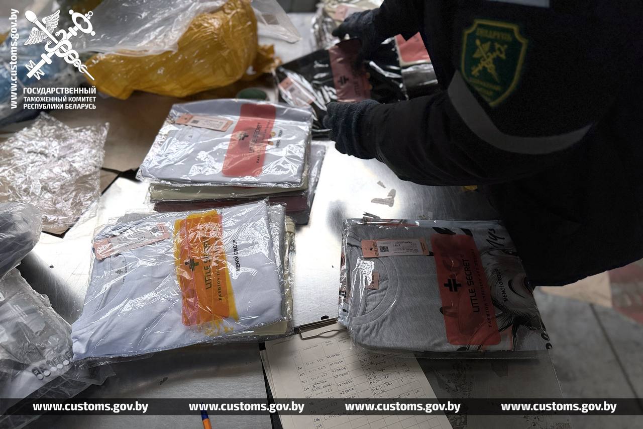 Беларусские таможенники пресекли ввоз товаров на 550 тысяч рублей из России