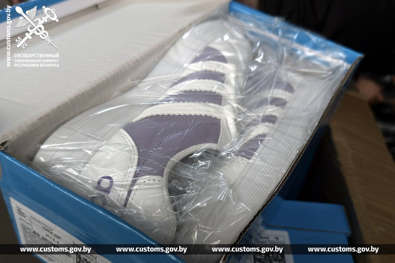 Беларусские таможенники пресекли ввоз товаров на 550 тысяч рублей из России