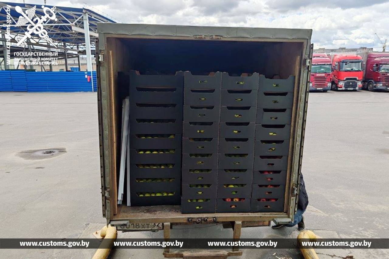 Belarusian Customs Stops Export of 4.5 Tonnes of Apples to Russia