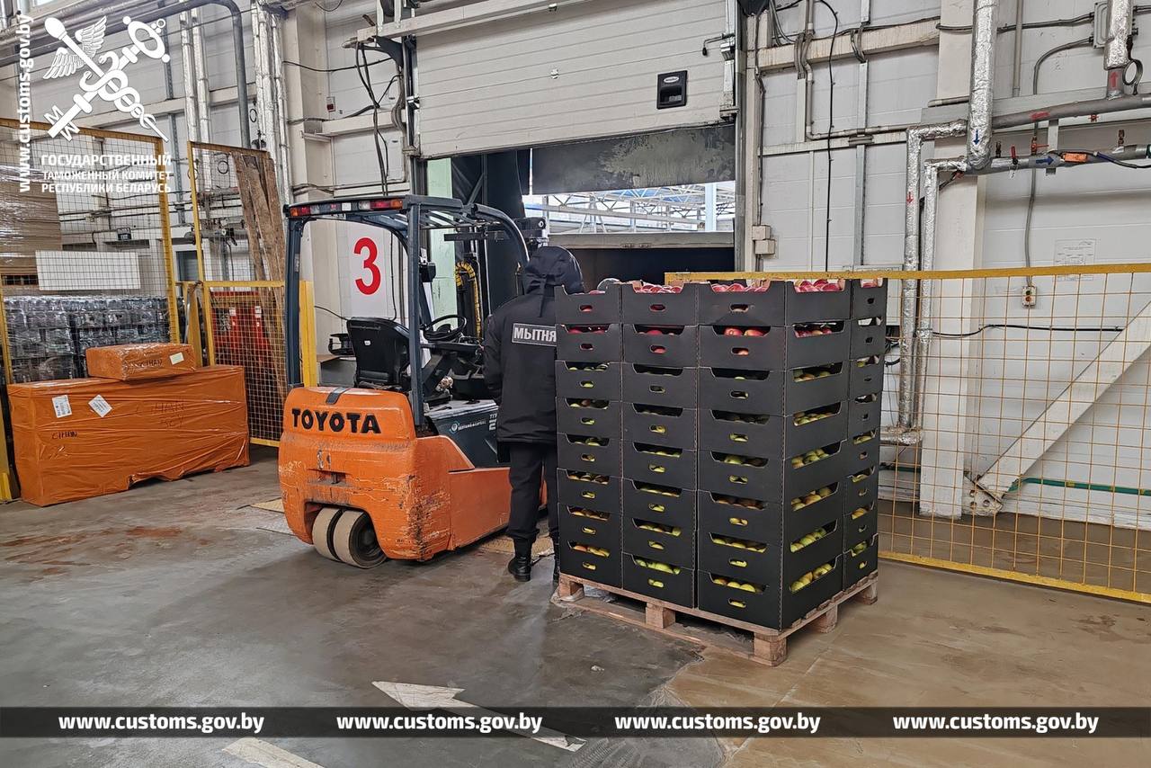 Belarusian Customs Stops Export of 4.5 Tonnes of Apples to Russia