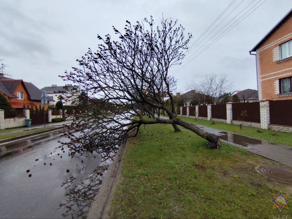 МЧС рассказало о последствиях сильного ветра