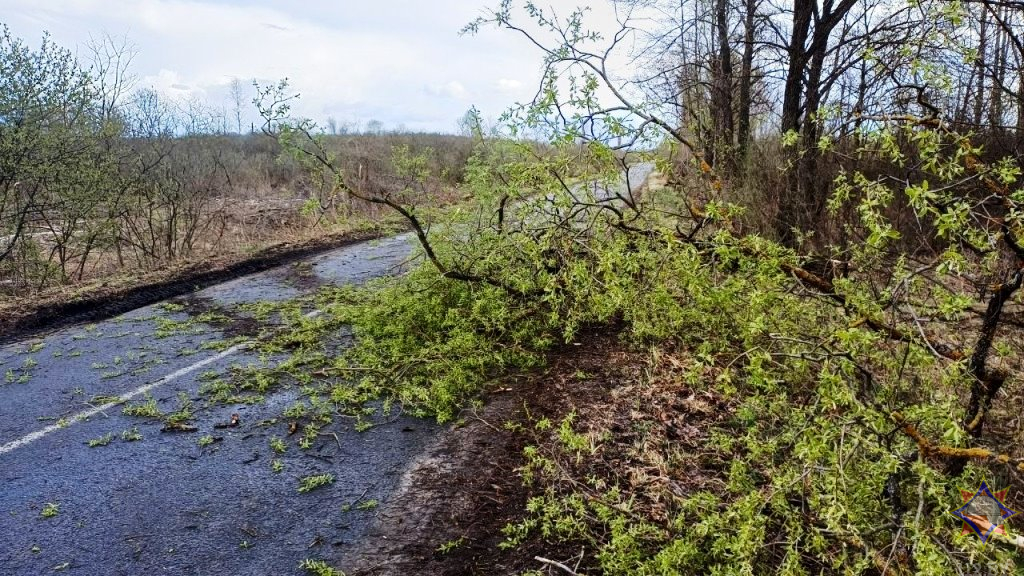 МЧС рассказало о последствиях сильного ветра