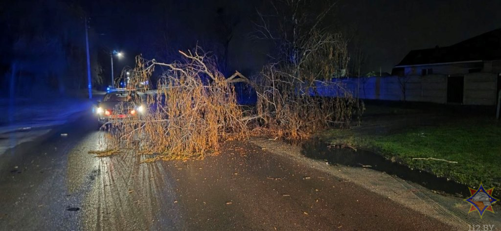 МЧС рассказало о последствиях сильного ветра