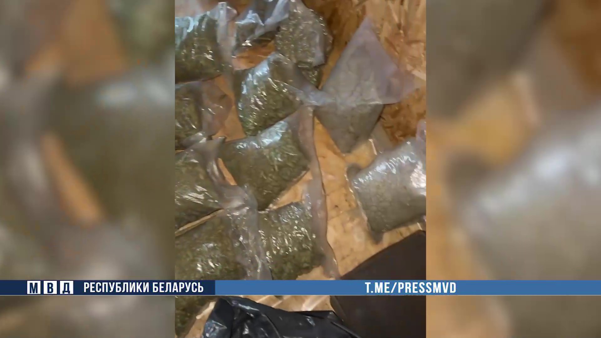 Милиция изъяла 25 кг марихуаны под Могилевом