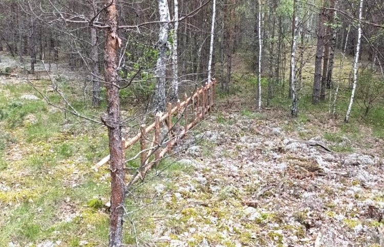 В Литве задержали поляка, собиравшегося с крупной суммой денег перелезть через забор в Беларусь
