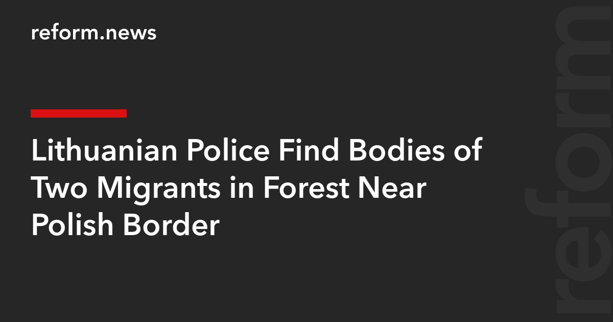 Lithuanian Police Find Bodies of Two Migrants in Forest Near Polish Border